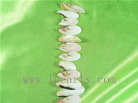 15.5" special shaped shell jewelry strand